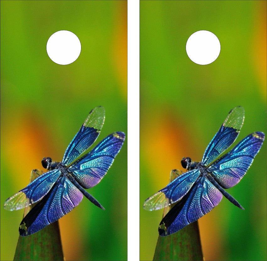 Dragonfly Version 4 Cornhole Wraps
