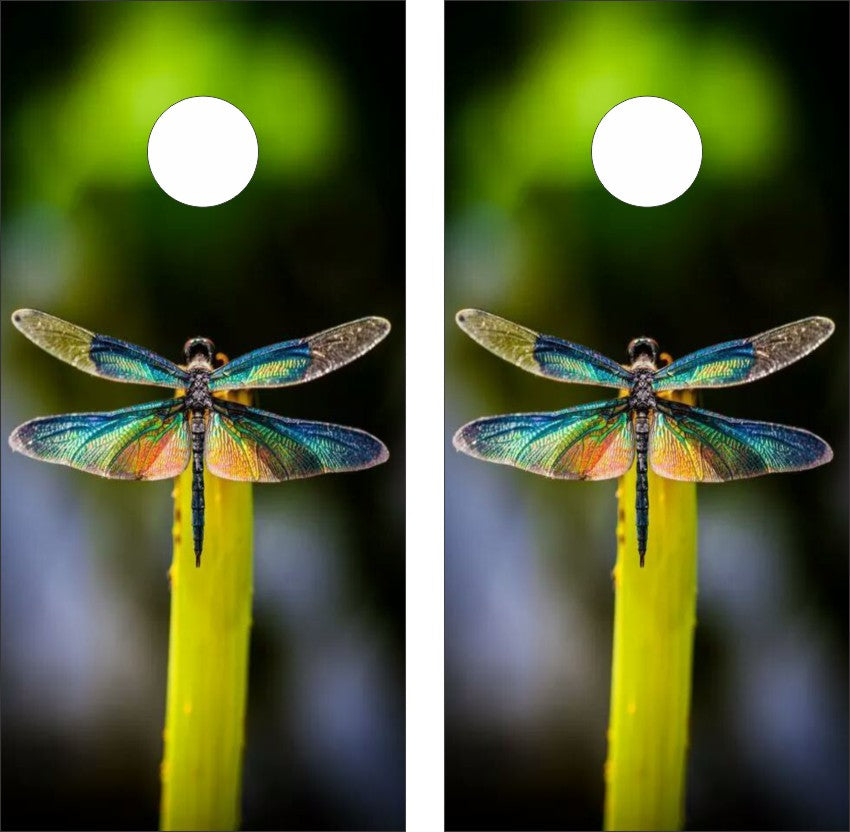 Dragonfly Version 5 Cornhole Wraps