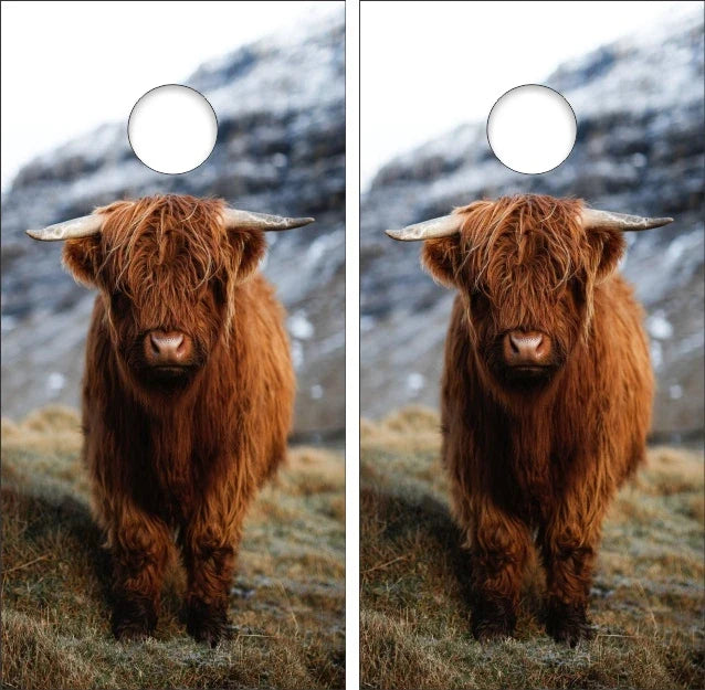 Scottish Highland Cow Up Close Cornhole Wraps Version 2