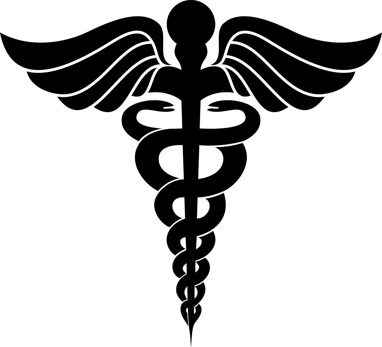 Caduceus Medical EMS Symbol Decal