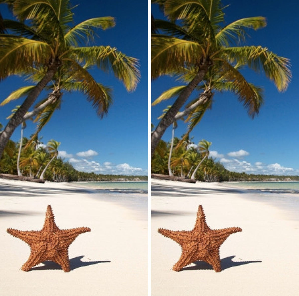 Starfish in the Sand Beach Life Cornhole Wraps Version 1