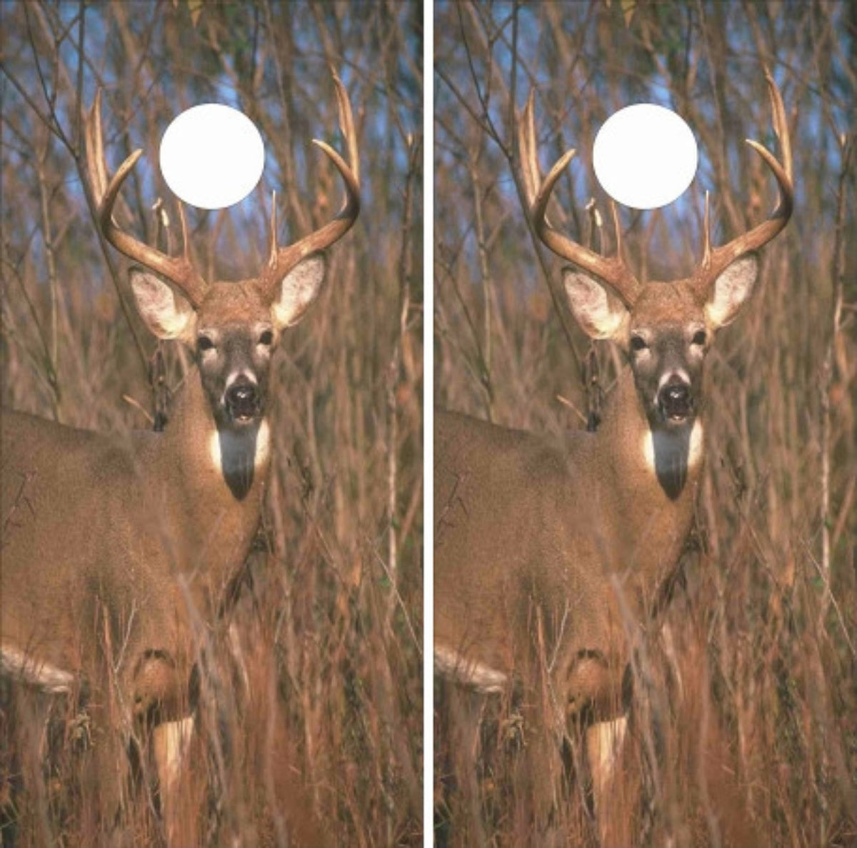 Trophy Deer Buck Standing in a Tall Grassy Field Cornhole Wraps