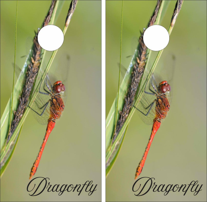Dragonfly Version 3 Cornhole Wraps