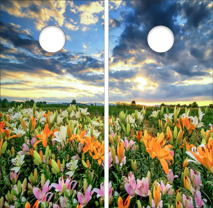 Field of Colorful Wild Flowers with Cloudy Sky Cornhole Wraps
