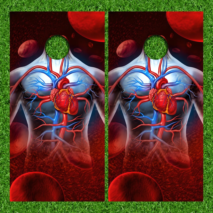 Human Body Heart Cardiovascular System Cornhole Wraps