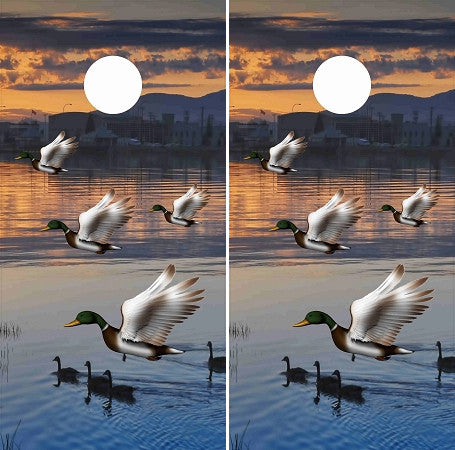 Mallard Ducks with Peaceful Lake Background Cornhole Wraps