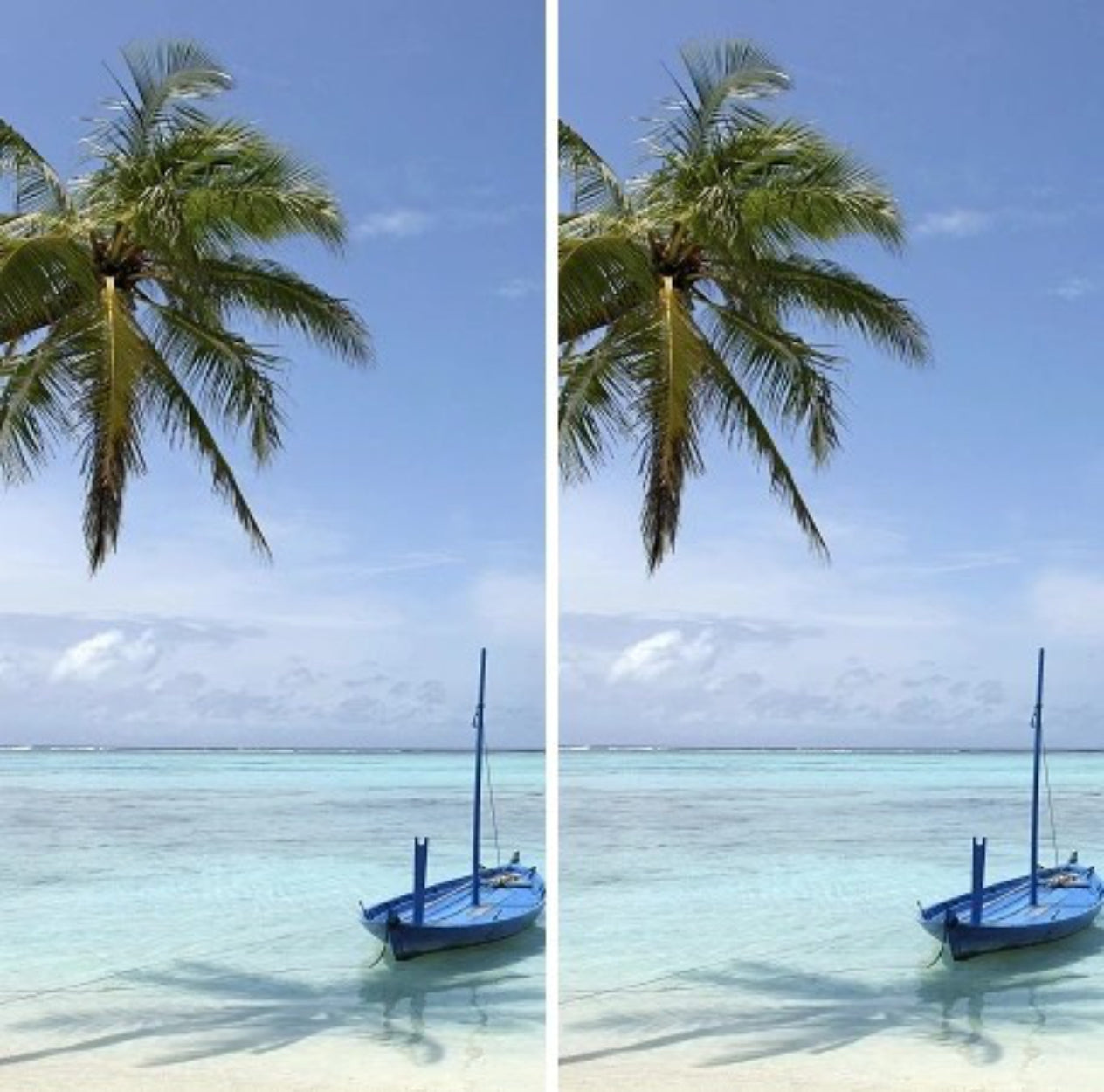 Beach Sail Boat Sandy Tropical Ocean Waves with Palm Tree Cornhole Wraps