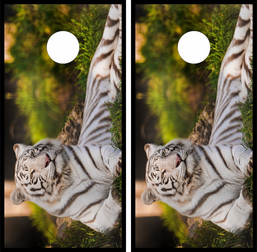 White Bengal Tiger Laying in Grass Cornhole Wraps