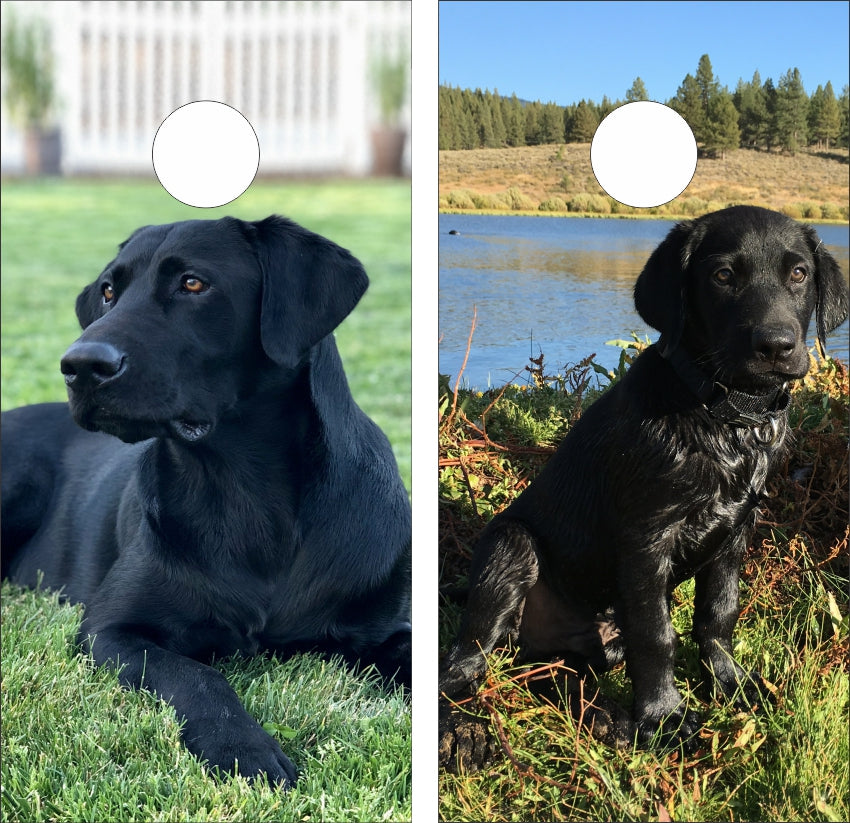 Black Lab Dogs in Grass Cornhole Wraps